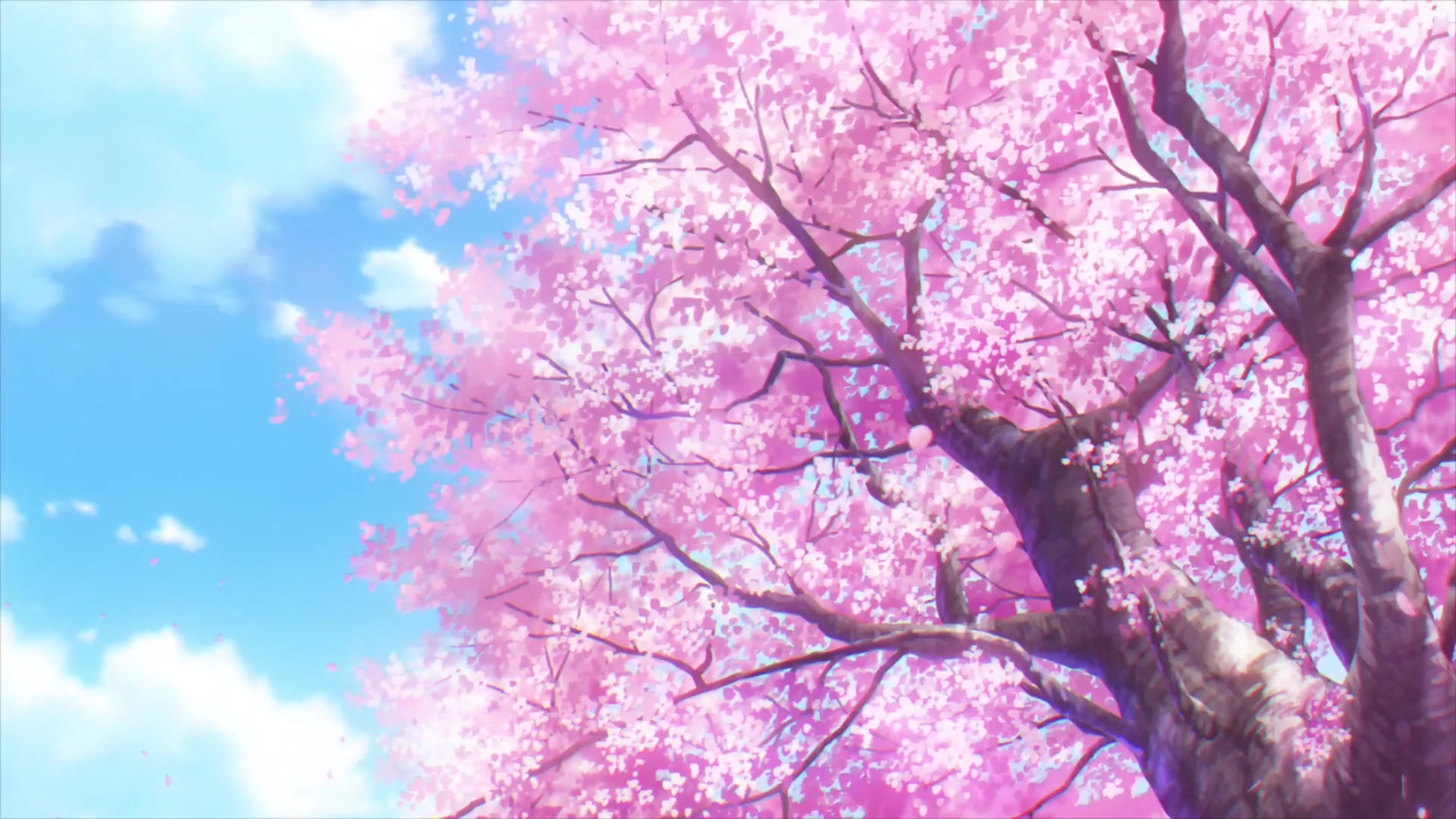 [Tsukyio Editing Resources] I Want to Eat Your Pancreas Raw Clips (1084) (tsukyio.com).mp4